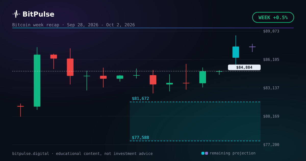 The Bitcoin week, settled: +0.5%